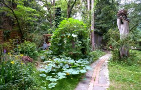 Kürbis, © Elke Guttmann Ein Garten mit einem gewundenen Weg, üppigem Grün und Kürbispflanzen.