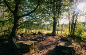 Steinkreis Krumbach, © Wiener Alpen/Roman Königshofer Photography Ein Steinkreis im Wald mit Sonnenlicht, das durch die Bäume scheint.