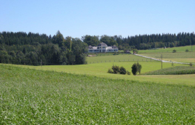 Idyllische Umgebung des Schlosses Gut Ziegersberg, © Schloss Gut Ziegersberg Weitläufige grüne Wiesen mit einem Schloss im Hintergrund, umgeben von Wäldern.