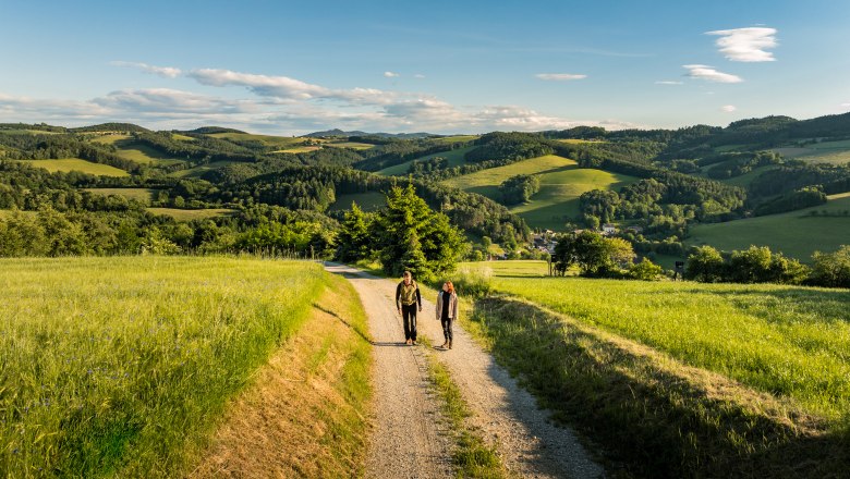 Ausblick am Bener, © Wiener Alpen / Fülöp, Kremsl Zwei Personen wandern auf einem Schotterweg durch eine hügelige Landschaft mit grünen Feldern und Wäldern unter blauem Himmel.