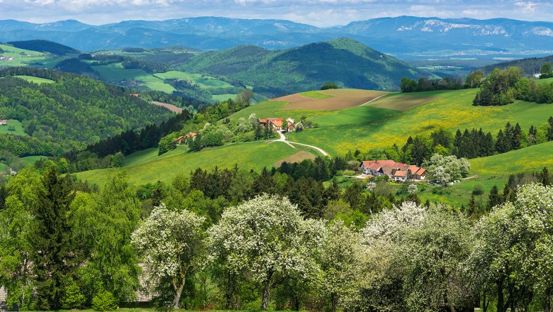 Thomasberger Frühling, © Wiener Alpen/Walter Strobl, audivision.at Frühlingslandschaft mit blühenden Bäumen und grünen Hügeln in Thomasberg.