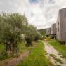 Naturhotel Gut Guntrams Gartenlofts, © Niederösterreich Werbung / Maximilian Pawlikowsky Moderne Gebäude neben Olivenbäumen in einer grünen Landschaft.