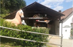 Haflingerhof Luef Bad Schönau, © Wiener Alpen Eingang zum Haflingerhof mit Pferdestatue und Holzdach.