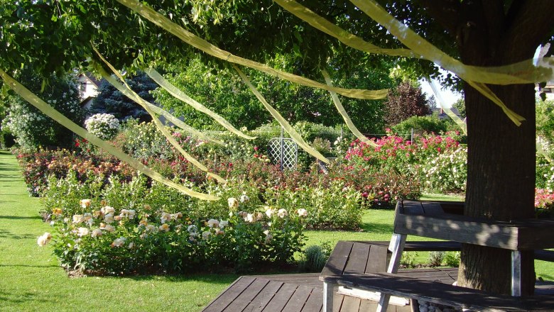 Idyllische Sitzgelegenheiten laden ein zum Verweilen, © Rosengarten Pitten Ein Garten mit blühenden Rosen, Bänken unter einem Baum und gelben Bändern in den Ästen.