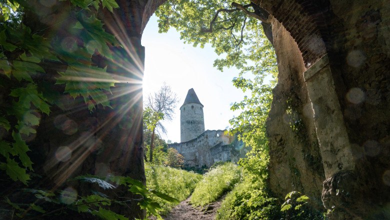 Burgtour zur Burg Seebenstein, © Claudia Schlager Blick durch ein Burgtor auf eine Burg mit Turm, umgeben von Bäumen und Sonnenstrahlen.