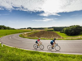 Rennradfahren in der Buckligen Welt, &copy; Wiener Alpen, Martin F&uuml;l&ouml;p