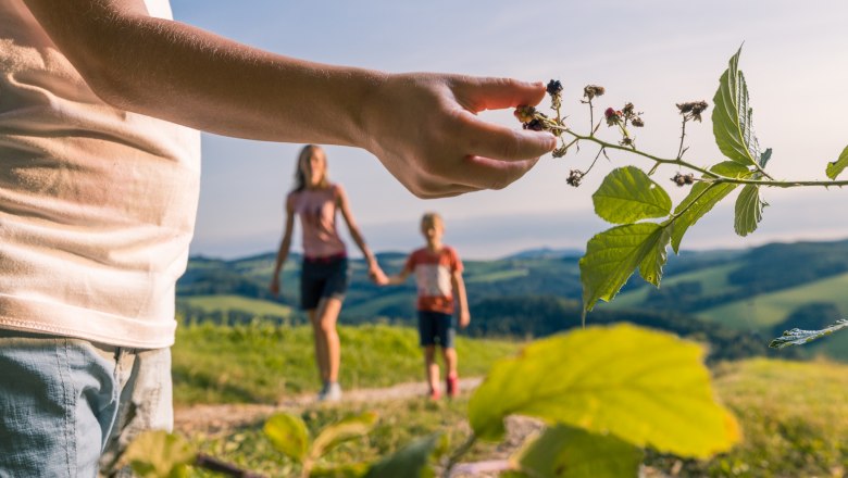 Die Natur entdecken, © Wiener Alpen, Martin Fülöp
