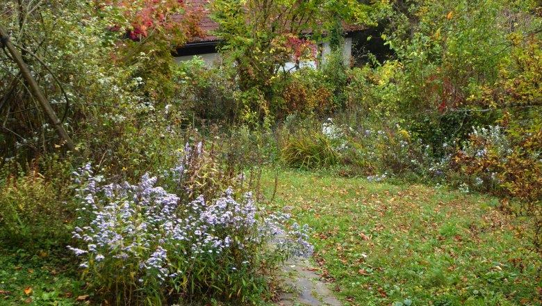 Ein herbstlicher Garten mit buntem Laub und blühenden Blumen.