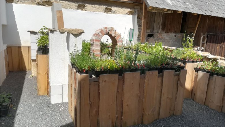 Verkaufsraum mit Pflanzen in Holzkisten und rustikaler Dekoration.