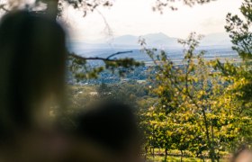 Blick durch Bäume auf eine weite Landschaft mit Bergen im Hintergrund.
