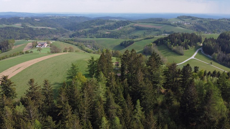 Landschaft mit H&uuml;geln, W&auml;ldern und Feldern Richtung S&uuml;d-Burgenland und Ost-Steiermark.