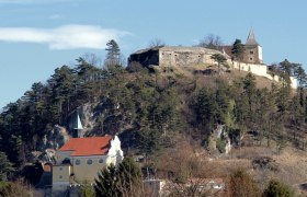 Der Schlo&szlig;berg von Pitten, &copy; Karin K&uuml;htreiber 2011