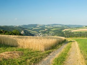 Kirchschlag Sendemast, &copy; Wiener Alpen in Nieder&ouml;sterreich