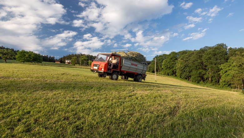 Ein Traktor mit Anh&auml;nger voller Heu f&auml;hrt &uuml;ber ein gr&uuml;nes Feld unter einem blauen Himmel mit Wolken.