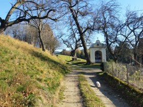 Kapelle Schafferhof in Edlitz | Bucklige Welt, &copy; Wiener Alpen in Nieder&ouml;sterreich - Bad Sch&ouml;nau
