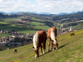 Lindenhof Krumbach, &copy; Wiener Alpen in Nieder&ouml;sterreich