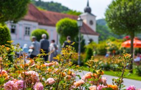Rosengarten mit historischem Pfarrhof im Hintergrund