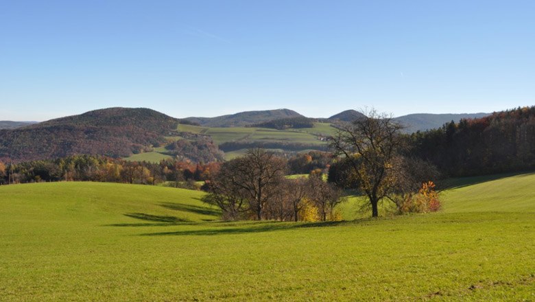 H&uuml;gelige Landschaft mit gr&uuml;nen Wiesen und B&auml;umen unter blauem Himmel.