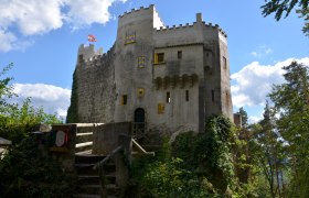 Burg Grimmenstein mit Br&uuml;cke, Zinnen und blau-gelb gestrichenen Fensterl&auml;den im Gr&uuml;nen.