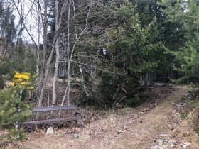 Vor der Abzweigung noch einmal den herrlichen Ausblick genie&szlig;en, &copy; Wiener Alpen in Nieder&ouml;sterreich - Wechsel