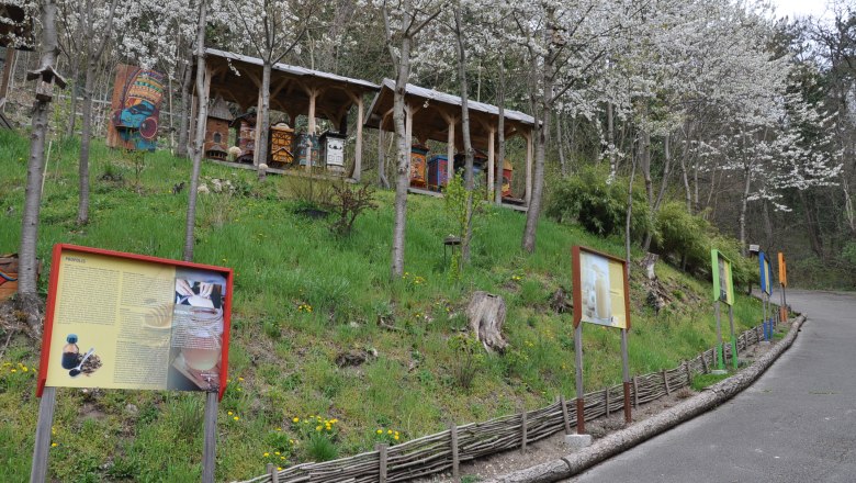 Ein Bienenlehrpfad mit Informationstafeln und Bienenst&ouml;cken unter bl&uuml;henden B&auml;umen.