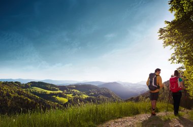 Wandern in der Buckligen Welt, © Wiener Alpen, Foto: Florian Lierzer