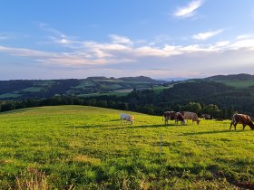 Distelleiten-Strecke bei Burgerschlag, &copy; Wiener Alpen in Nieder&ouml;sterreich