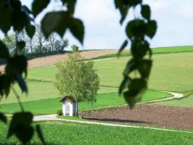 Zertbauer-Kreuz (Copyright: Karl Gradwohl), &copy; Wiener Alpen in Nieder&ouml;sterreich - Bad Sch&ouml;nau