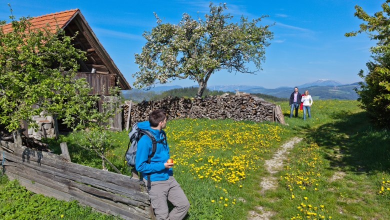 Wandern in der Bucklige Welt, © Wiener Alpen, Franz Zwickl