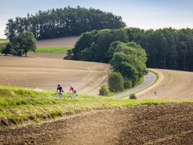 Zwei Radfahrende fahren auf einer l&auml;ndlichen Stra&szlig;e durch eine h&uuml;gelige Landschaft mit Feldern und W&auml;ldern.