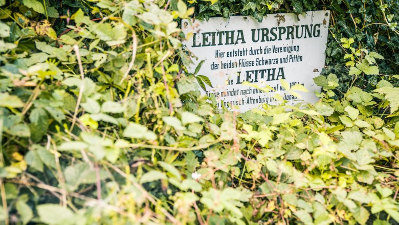 Ein Schild mit der Aufschrift 'Leitha Ursprung' ist von dichtem Gr&uuml;n &uuml;berwuchert.