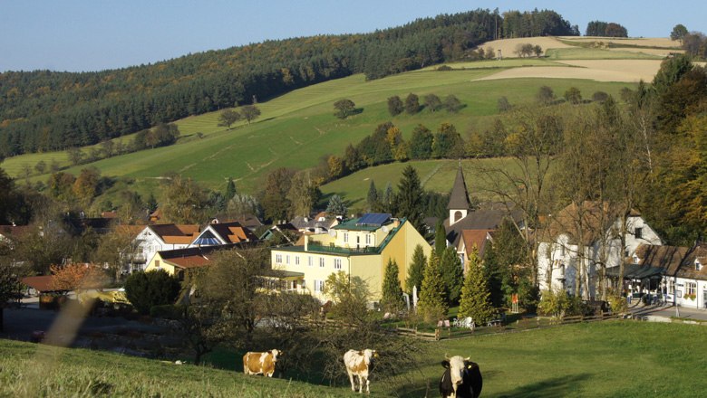 Ländliche Szene mit Kühen auf einer Wiese, Dorf im Hintergrund, umgeben von Hügeln und Wäldern.