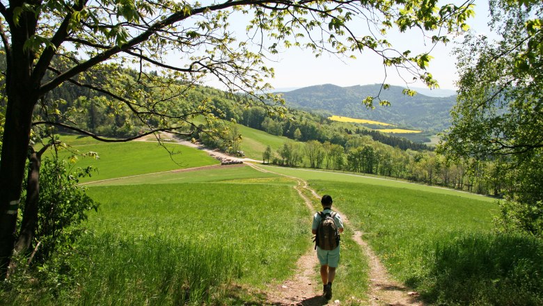 Die Landschaft entdecken, © Wiener Alpen/Walter Laschober