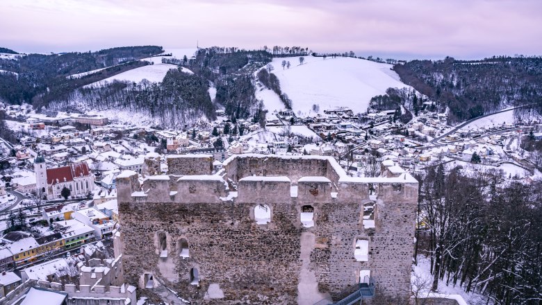 Winterliche Ansicht der Burgruine Kirchschlag mit verschneiter Landschaft im Hintergrund.