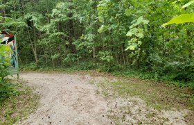 Waldweg mit Kreuzwegstation und Bäumen.