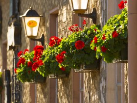 Fassade eines Gasthauses mit Laternen und Blumenkisten mit roten Geranien an der Wand