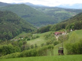 Buchberger Weg (Warth-Petersbaumgarten-Kaltenberg), &copy; Wiener Alpen in Nieder&ouml;sterreich - Bad Sch&ouml;nau