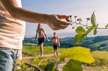 Die Natur entdecken, © Wiener Alpen, Martin Fülöp