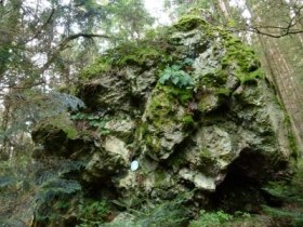 R1_Wandern in Hollenthon _Runde Spratzeck - Gleichenbach - Obereck-Hollenthon, &copy; Wiener Alpen in Nieder&ouml;sterreich - Bad Sch&ouml;nau