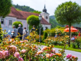 Im Rosengarten Pitten, &copy; Wiener Alpen in Nieder&ouml;sterreich - Bad Erlach