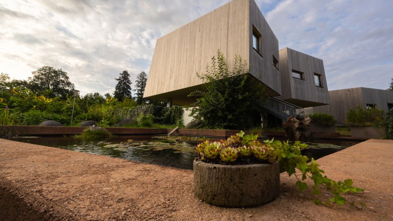 Moderne Gartenlofts aus Holz mit Teich und Pflanzen im Vordergrund.