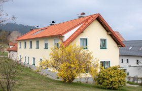 Gelbes Haus mit rotem Dach und blühendem Strauch im Vordergrund.
