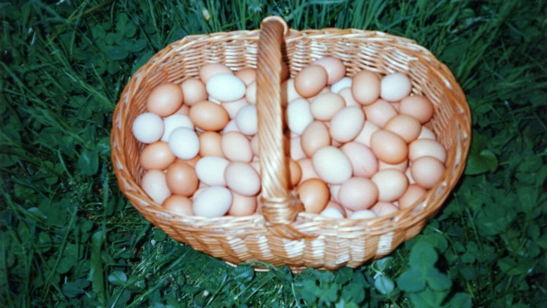 Ein Korb voller Eier auf grünem Gras.