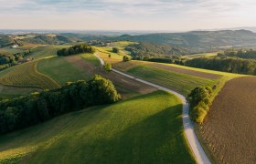 Luftaufnahme einer h&uuml;geligen Landschaft mit Feldern und W&auml;ldern in Hattmannsdorf, Hochneukirchen.