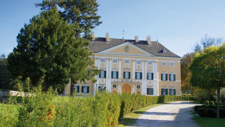 Das Schloss Frohsdorf aus der Nähe
