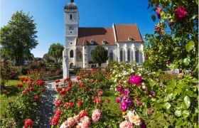 Wehrkirche in Kirchschlag mit bl&uuml;hendem Rosengarten im Vordergrund.
