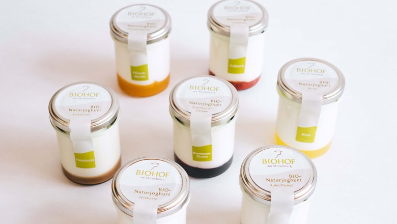 Sieben Gläser mit Naturjoghurt, jeweils mit unterschiedlichen Fruchtspiegeln, vor weißem Hintergrund.