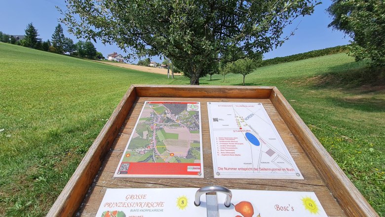 Informationstafel auf einem Obstlehrpfad mit Karten und Beschreibungen von Obstsorten, umgeben von grüner Landschaft und Bäumen.