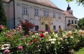 Barocke Pracht: Der Rosengarten im Pfarrhof Pitten, © Rosengarten Pitten