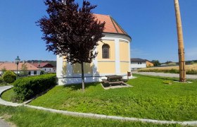 Runde Kirche mit gelber Fassade, umgeben von gr&uuml;ner Wiese und B&auml;umen, bei sonnigem Wetter.
